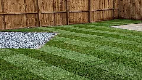 Turf Gallery & Reviews