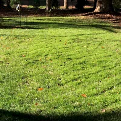 Image for choice number 1