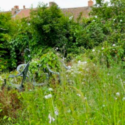 Image for choice number 4