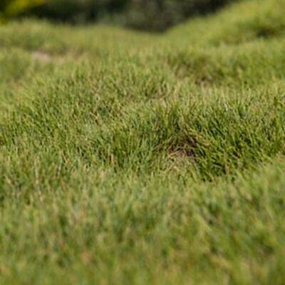 Image for choice number 3