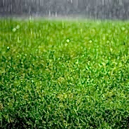 Image for choice number 1